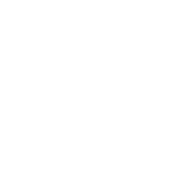 BPA Free